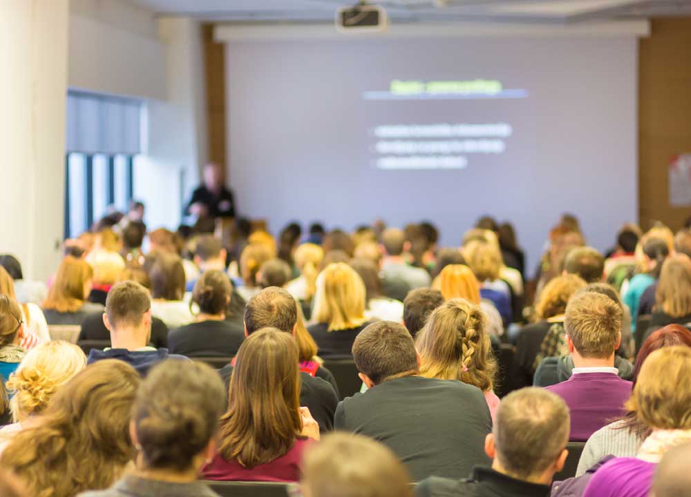 business-and-investment